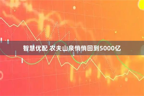 智慧优配 农夫山泉悄悄回到5000亿